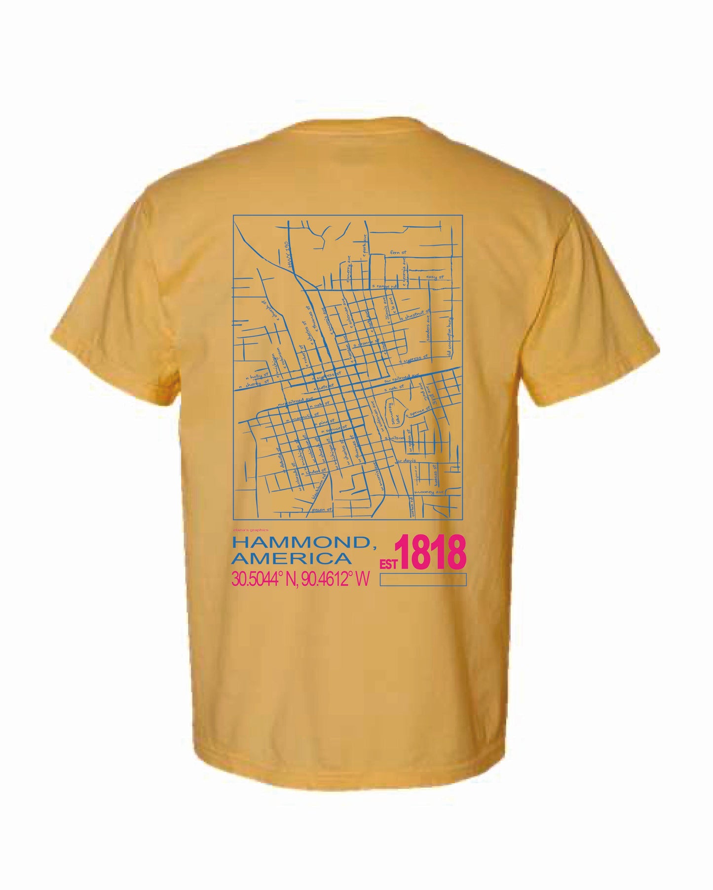 Hammond Explorer Tee