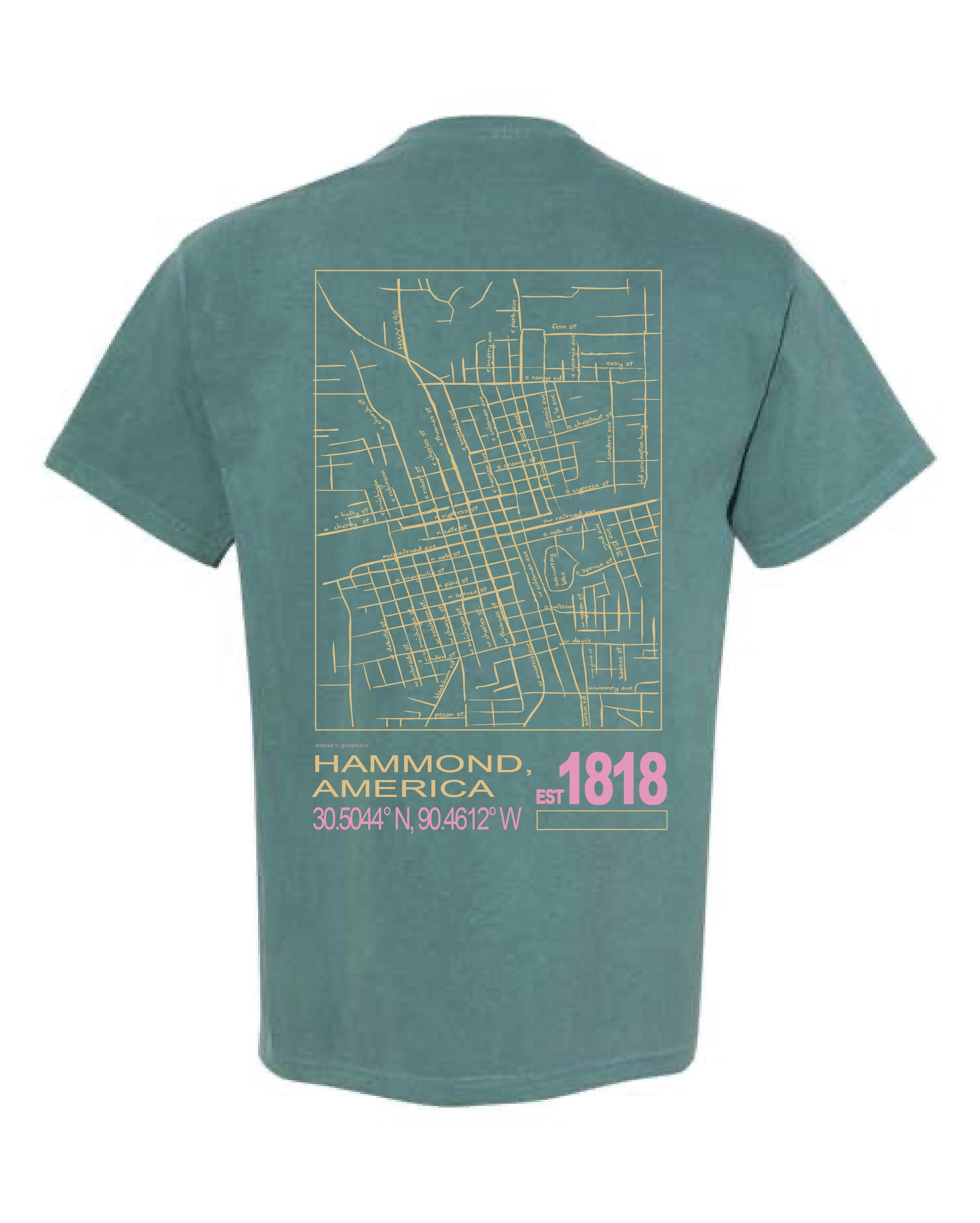 Hammond Explorer Tee – Elana's Graphics